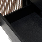 High quality Aderyn Teak Wood Rattan Cupboard for living room storage